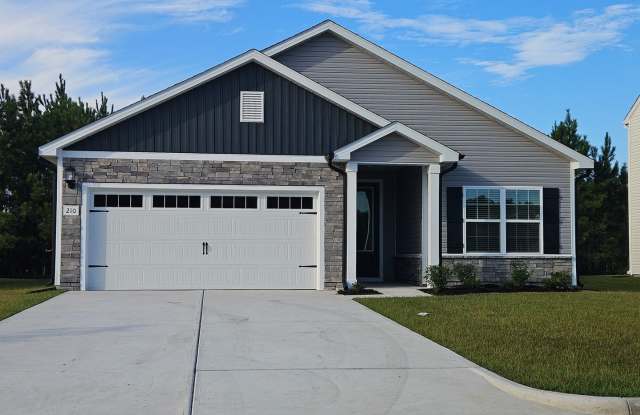 Brand new 3 bedroom 2 bath home in the Southwater Village community - Hampstead Gallery 1