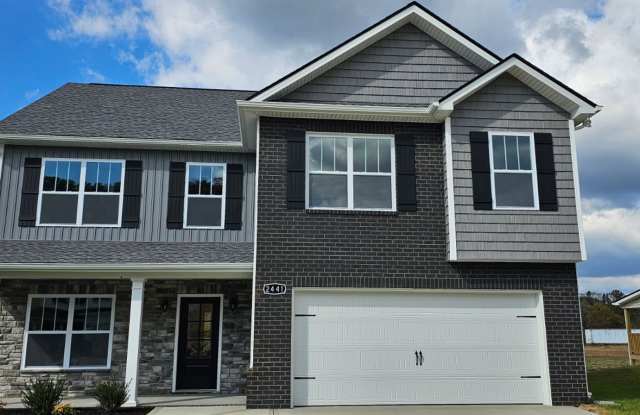 LUXURY !!!!! - 2441 Tributary Drive, Sevier County, TN 37876