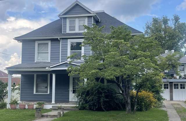 42 Meade Street photos photos