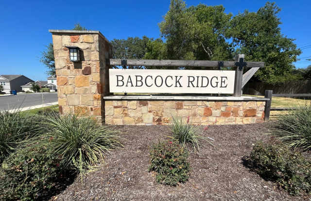**APPLICATION RECEIVED** *COMING SOON* Spacious & Energy-Efficient Home with Beautiful Backyard Deck Near UTSA! Gallery 4