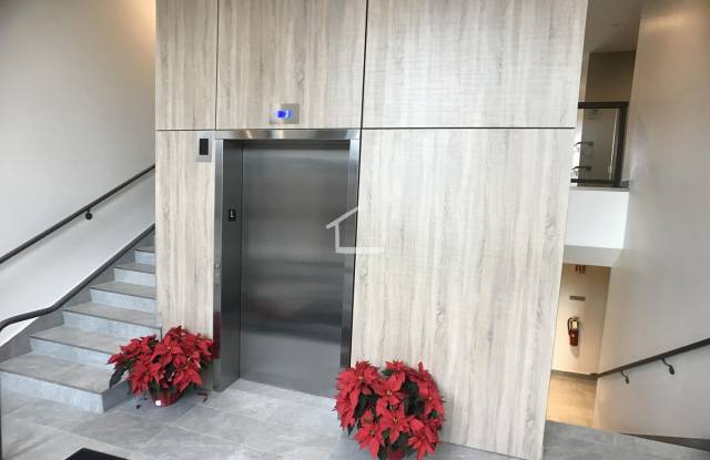 Modern 2 Bed 2 Bath Allston apartment available 9/1 photos photos