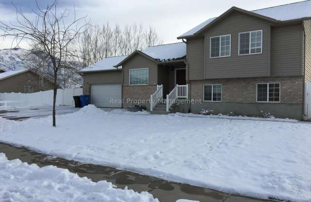 A Fantastic, Pet Friendly, 5 Bedroom, 3 Bath House! Call today! AVAILABLE MAY photos photos