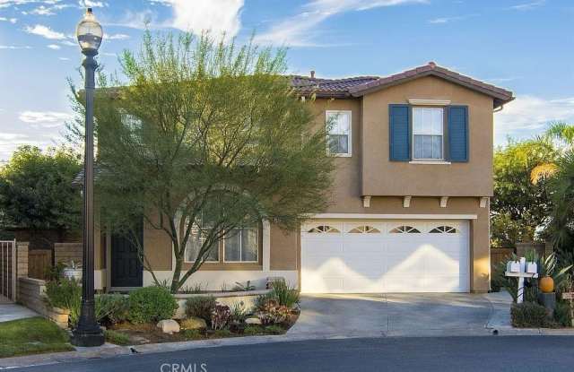 24336 Caladium photos photos