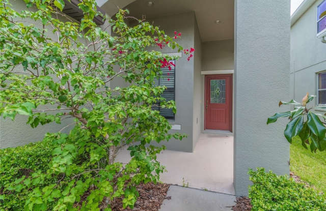 7815 TUSCANY WOODS Drive Gallery 2