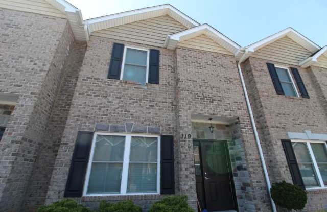 Stunning Cedar Point Townhome – Dual Suites & Modern Finishes photos photos