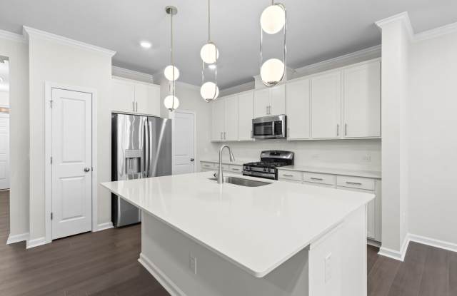 6017 Grey Colt Way - 6017 Grey Colt Way, Durham County, NC 27703