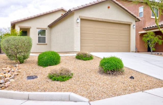 11231 E Vail Vista Ct - 11231 East Vail Vista Court, Tucson, AZ 85747