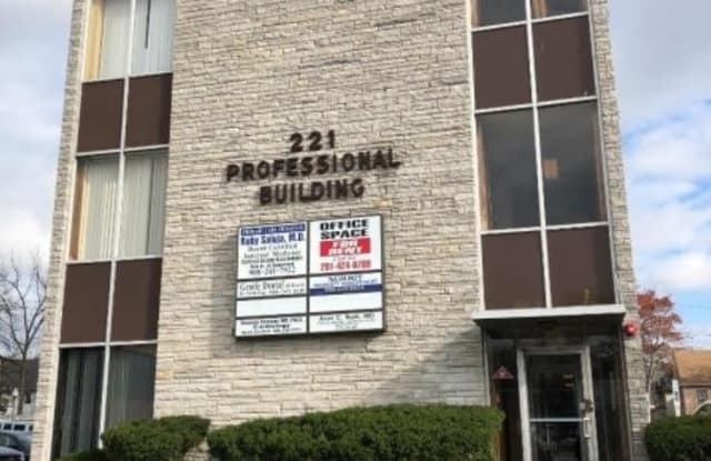 221 Chestnut St - 221 Chestnut Street, Roselle, NJ 07203