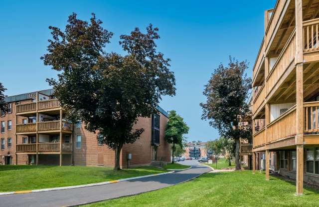 Cove West Hartford Gallery 3
