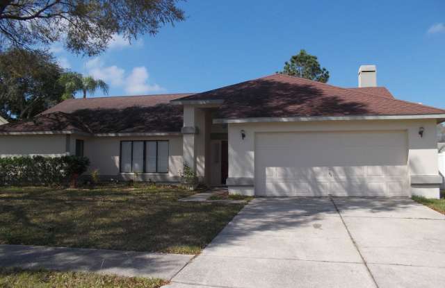 11322 Torrey Pines Drive - 11322 Torrey Pines Drive, Riverview, FL 33579