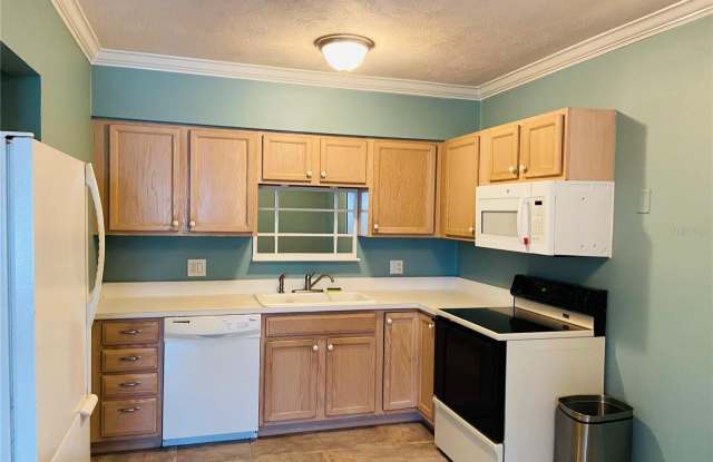 220 26TH STREET S - 220 South 26th Street, Flagler Beach, FL 32136