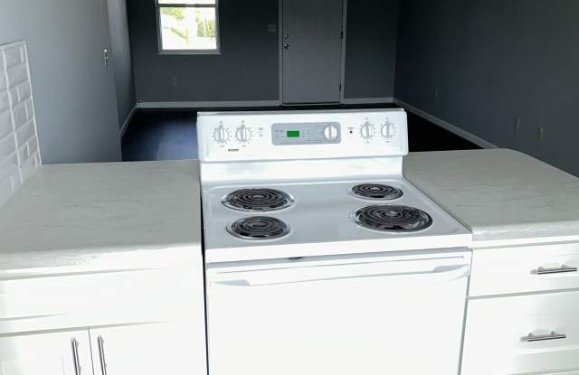 1525 Meadow Spring Dr photos photos 1525 Meadow Spring Dr photos photos