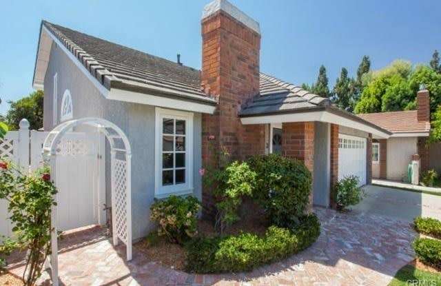 13 Poinsettia Gallery 2
