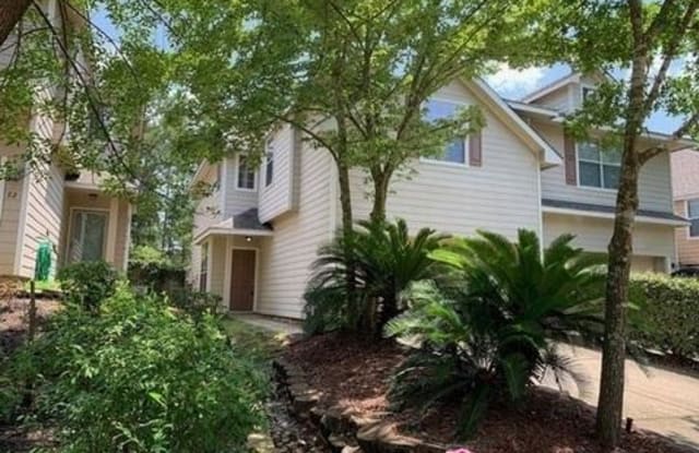 18 Blue Creek Pl - 18 Blue Creek Place, The Woodlands, TX 77382