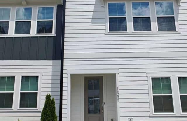 1031 Zelkova photos photos