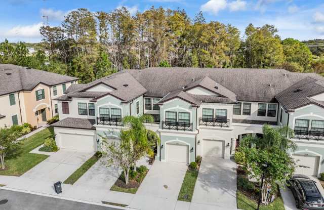 9250 Fox Sparrow Road - 9250 Fox Sparrow Road, Westchase, FL 33626