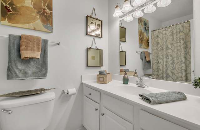White Water Creek photos photos