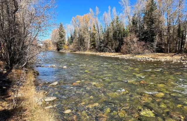 930 Blue River Parkway - 930 Blue River Parkway, Silverthorne, CO 80498