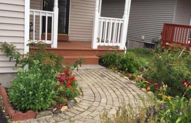 Beautiful 4 Bedroom house in Marlborough! Gallery 3