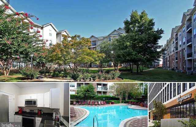 1601 SPRING GATE Drive unit: 1106 photos photos