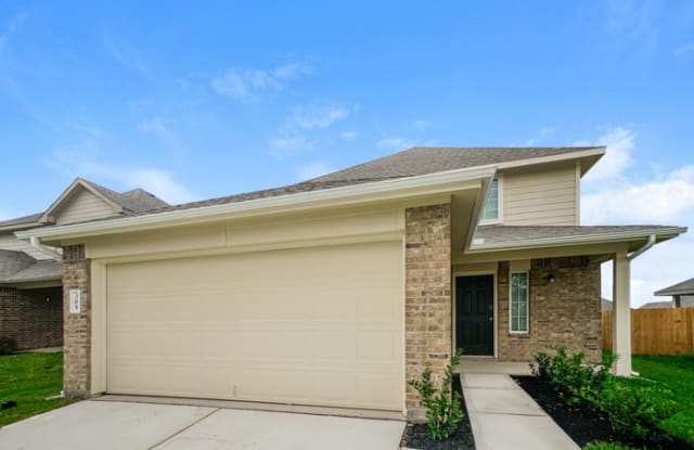 305 Blue Crane St. - 305 Blue Crane Street, Huntsville, TX 77320