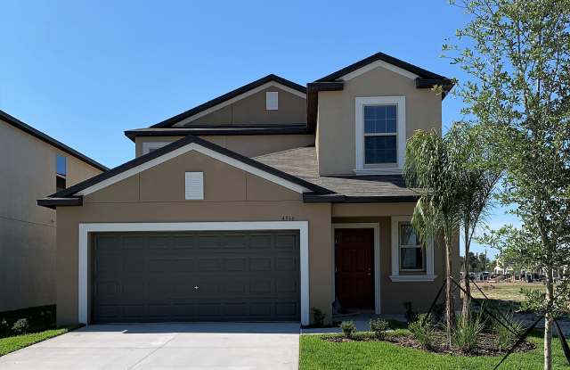 4916 White Chicory Dr - 4916 White Chicory Dr, Apollo Beach, FL 33570