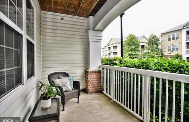 22687 BLUE ELDER TERRACE Gallery 3