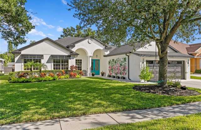 2107 BRANCH HILL STREET - 2107 Branch Hill Street, Carrollwood, FL 33612