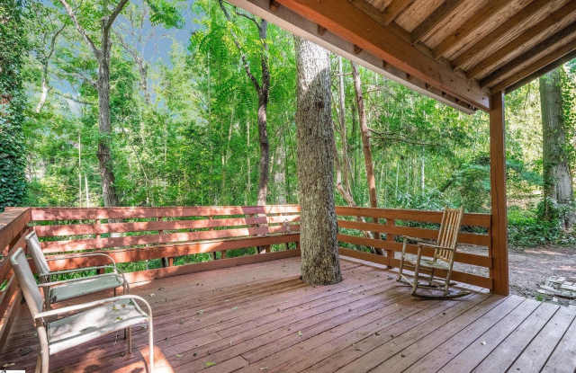 16 Converse Street - 16 Converse Street, Greenville, SC 29607