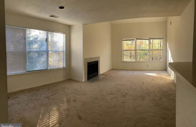 18516 BOYSENBERRY DRIVE Gallery 2