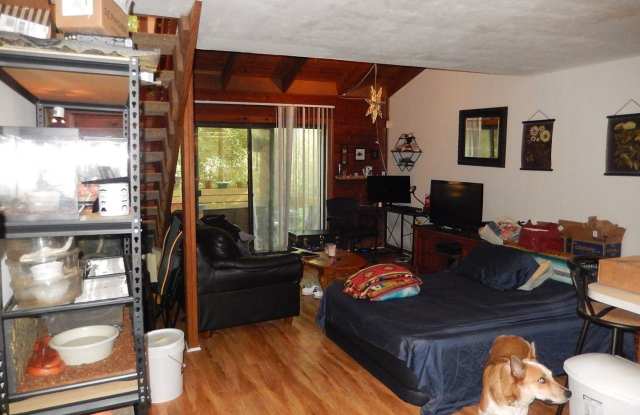 2473 Rumba Ct Gallery 3