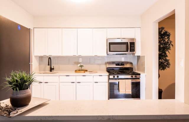 Hampton Gardens photos photos Hampton Gardens photos photos