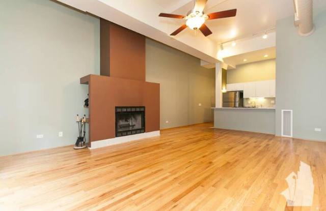 1100 West Cornelia Avenue Gallery 2