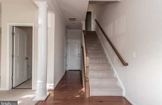 25514 FELTRE TERRACE Gallery 2