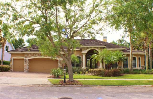 21315 SKY VISTA DRIVE - 21315 Sky Vista Drive, Pasco County, FL 34637