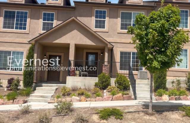 1842 Springs Vista Street photos photos 1842 Springs Vista Street photos photos