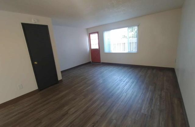 Country Pines photos photos