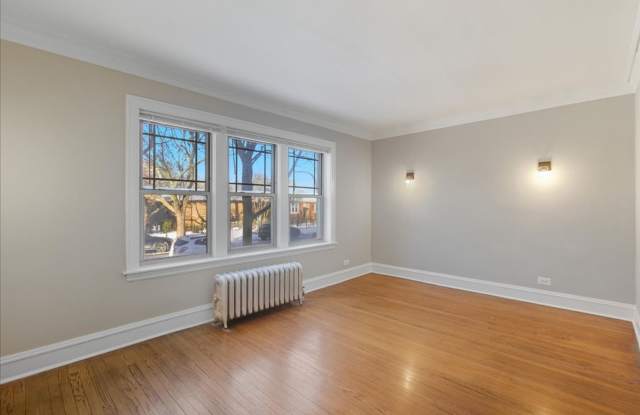 Large One Bedroom in Andersonville photos photos