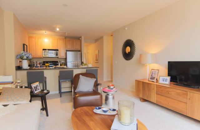 296 North Desplaines - 296 North Desplaines Street, Chicago, IL 60661