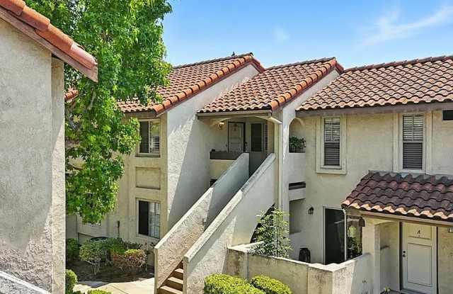 26212 La Real photos photos