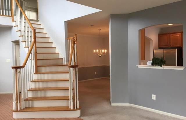 39 SPYGLASS Gallery 3