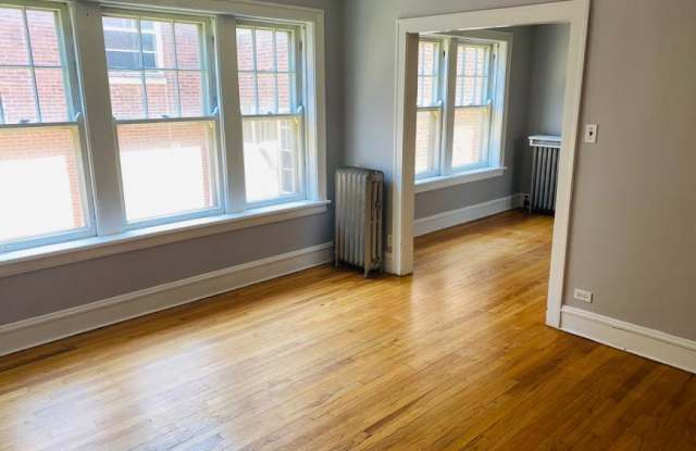 1335 West Carmen Ave. - 1335 West Carmen Avenue, Chicago, IL 60640