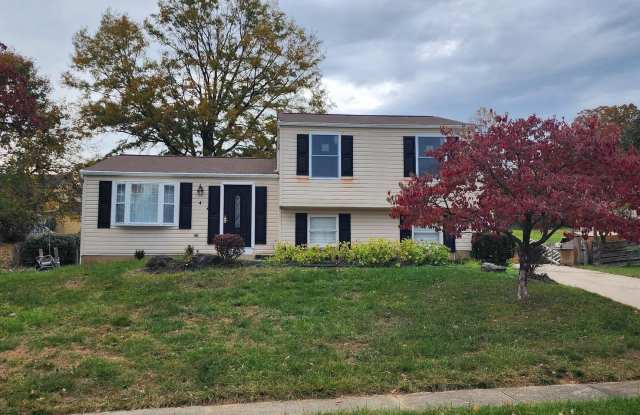 4 BIG STONE photos photos