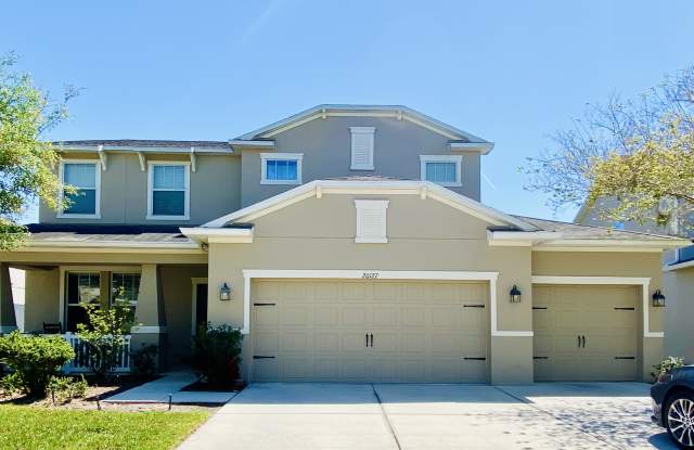 20127 Oakflower Avenue - 20127 Oakflower Avenue, Pebble Creek, FL 33647