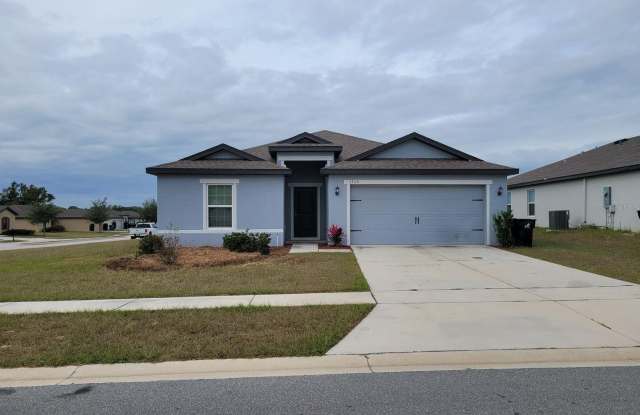 1705 GOPHER TREE STREET - 1705 Gopher Tree Street, Mascotte, FL 34753
