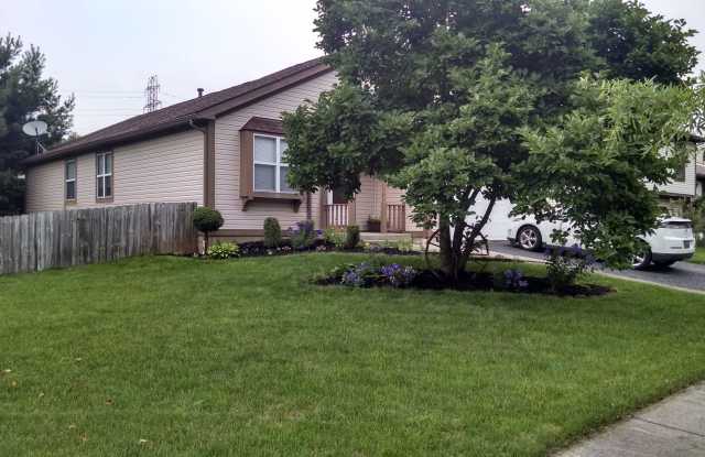 5244 Wagon Wheel Ln Gallery 2