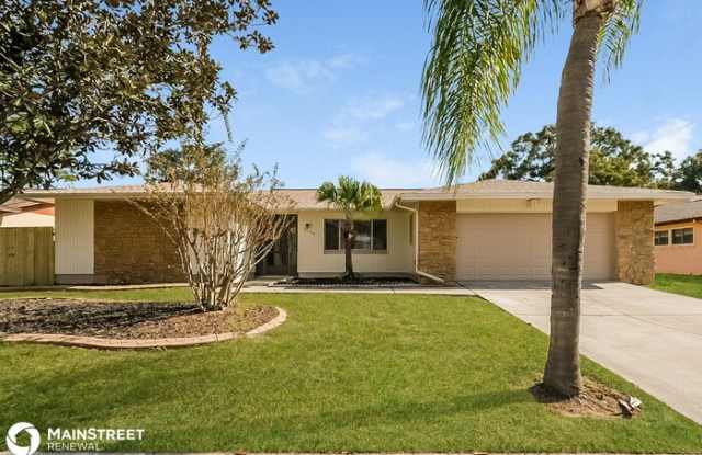 3103 Apricot Street - 3103 Apricot Street, Brandon, FL 33584