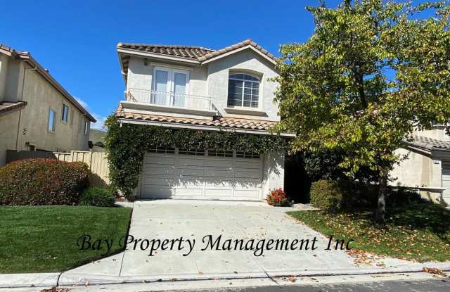 Rent reduction of $200!  Las Palmas II: A Luxurious 4 Bedroom Home in the Acclaim Community Gallery 4