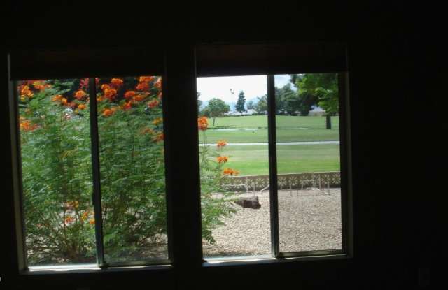 19808 N CHERRY TREE Lane Gallery 4