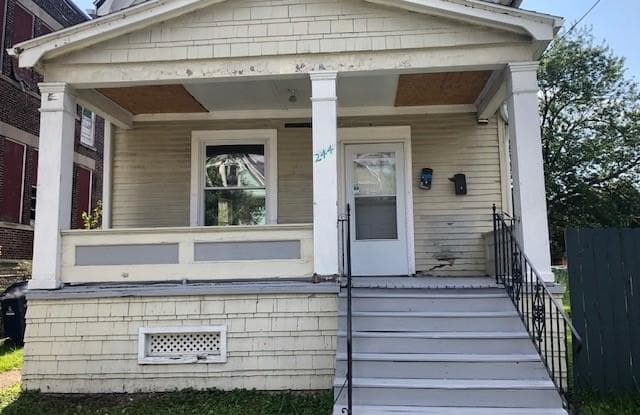 244 Brinkman Avenue - 244 Brinkman Avenue, Buffalo, NY 14211
